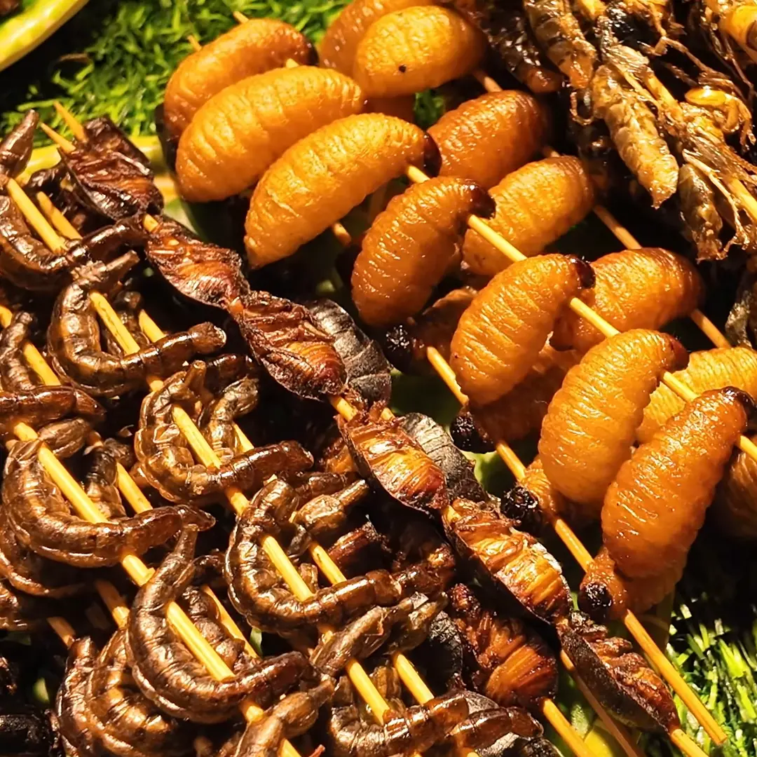 Close-up of a plate of bamboo worms