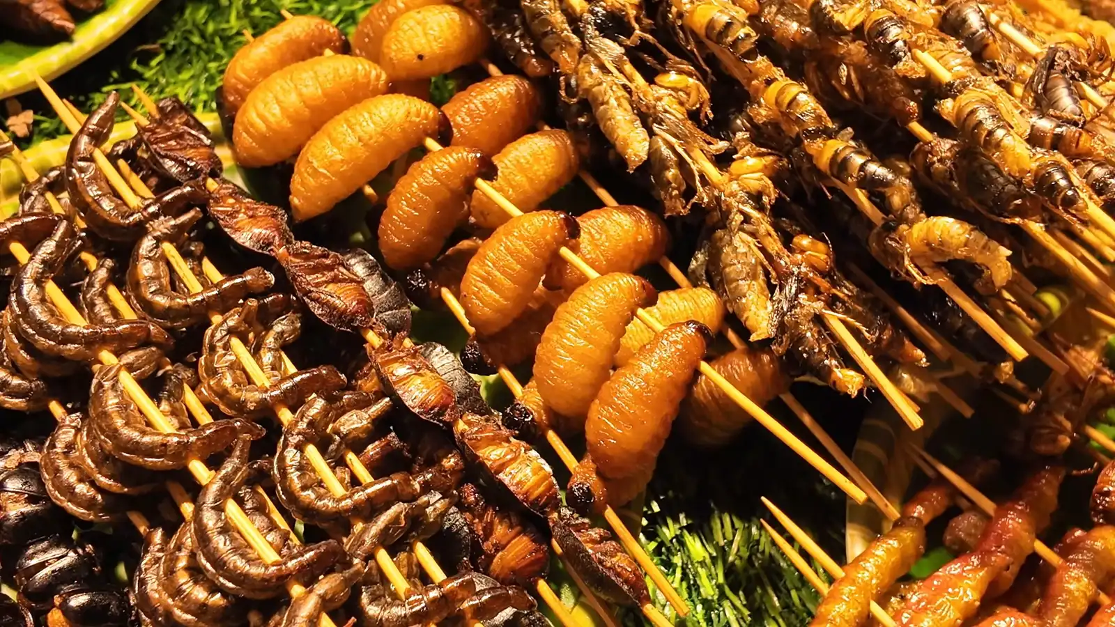 Insect stall in Kunming with a plate of pale yellow bamboo worms